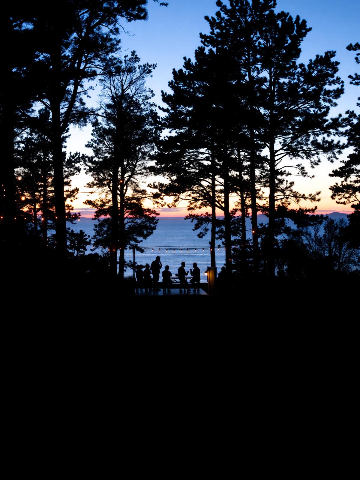 Silhuetter av människor vid en utomhusscen i skymningen